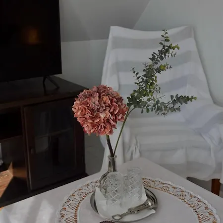 Spicite Guest house *